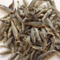 �����������������C���[�W