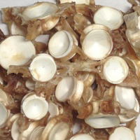 �����������������C���[�W