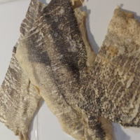 �����������������C���[�W